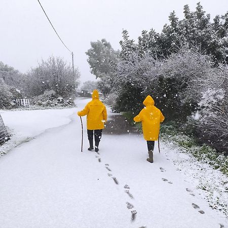 Villa Kastania Melidhonion  Esterno foto