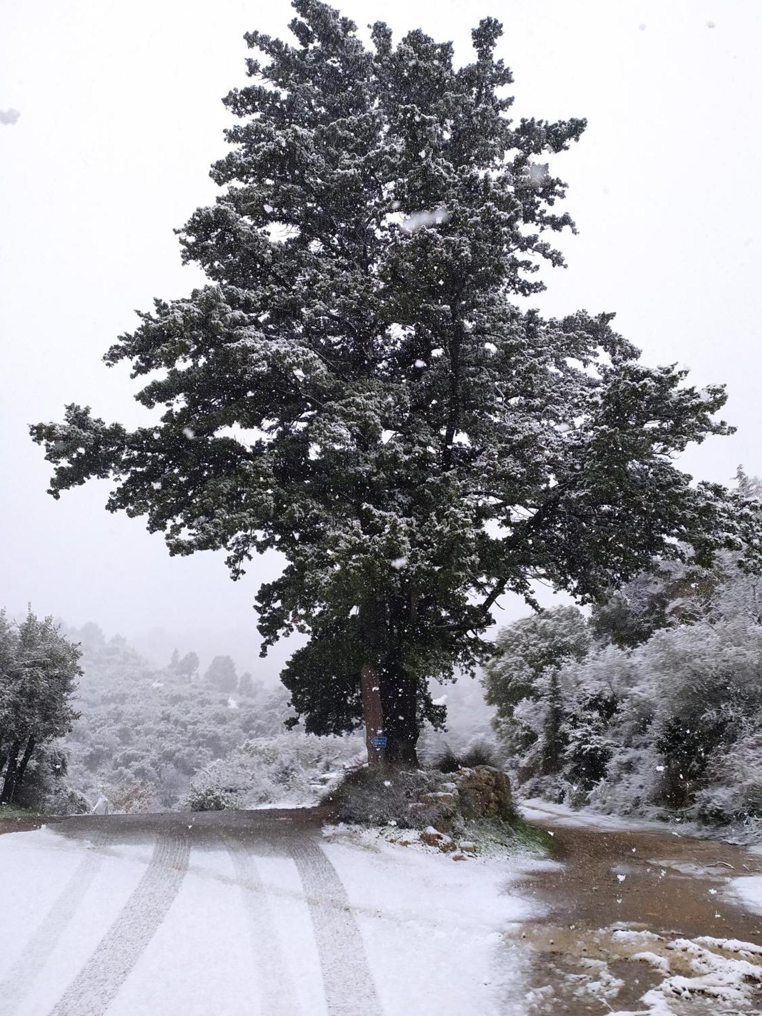 Villa Kastania Melidhonion  Esterno foto